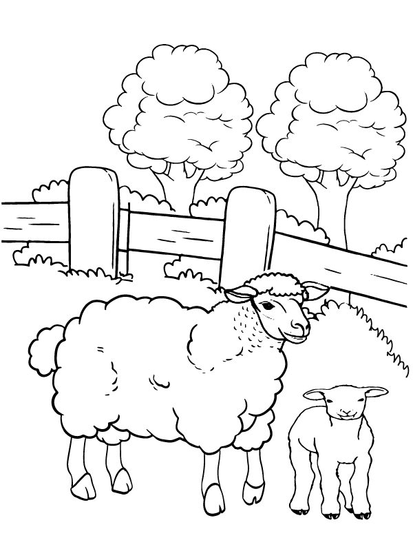 Ram and Sheep Coloring Pages - Free Printable Coloring Pages for Kids