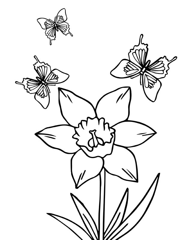 Daffodil Flower Coloring Page Printable Spring Coloring Pages | My XXX ...