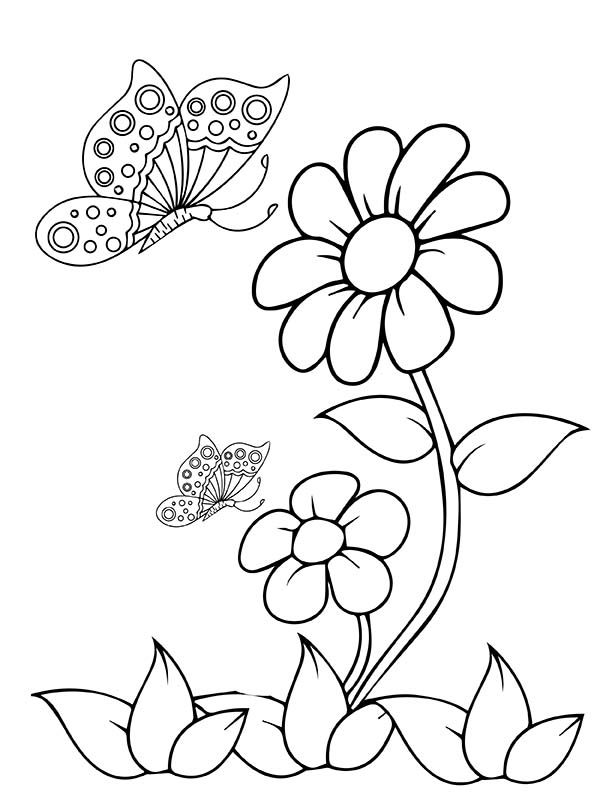 Two Lovely Flowers and Butterflies Coloring Page - Free Printable ...