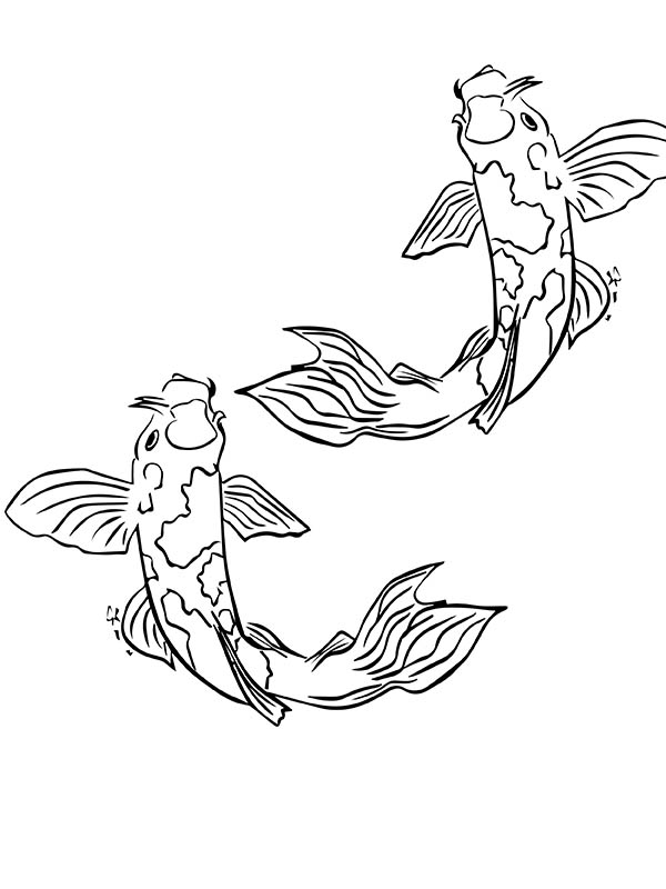 Sketch - Japanese Koi Fish Isolated On A Blue Stock Photo, Picture and  Royalty Free Image. Image 52914767.