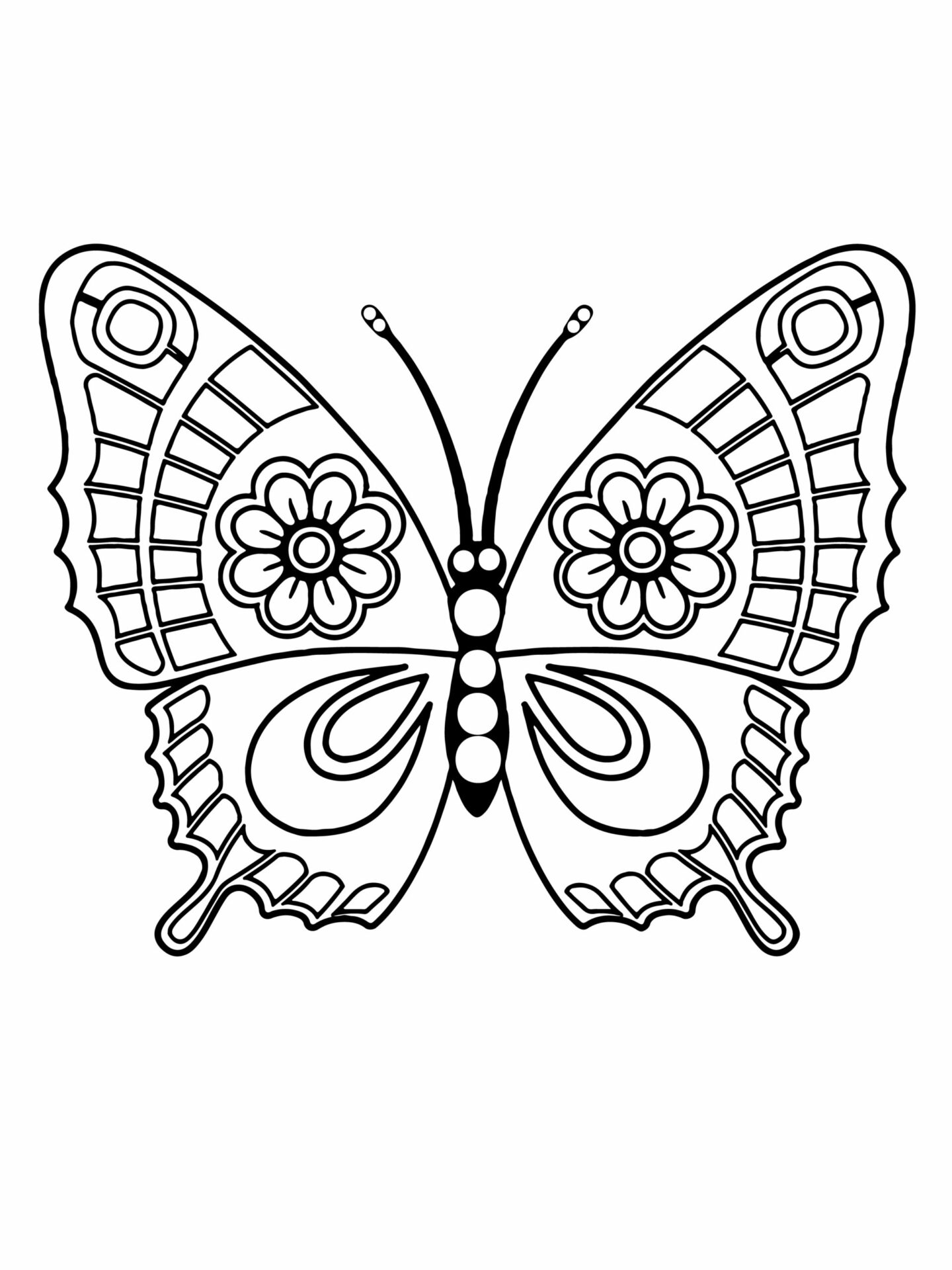 delicate butterfly Coloring Page - Free Printable Coloring Pages for Kids