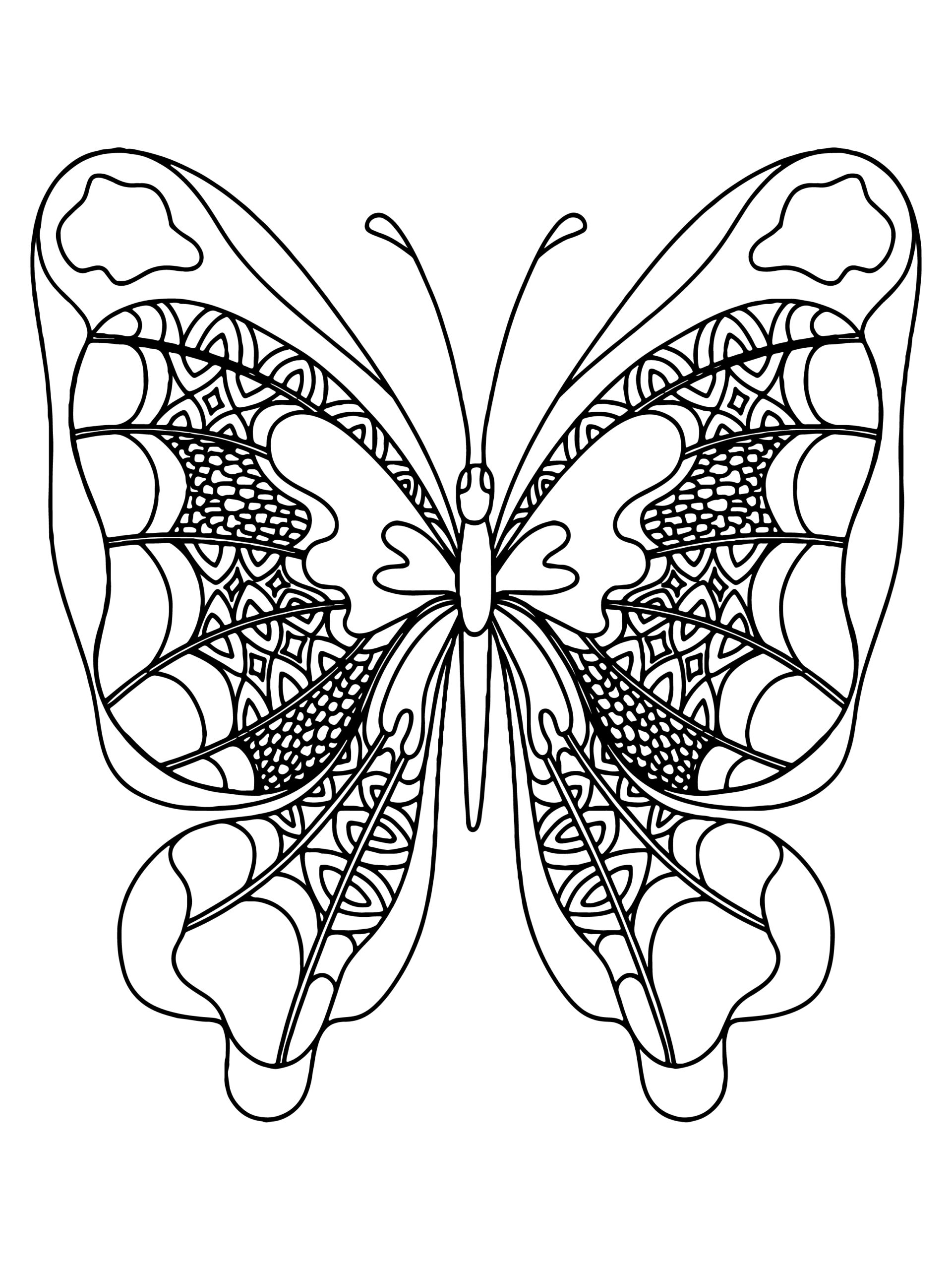 squeamish butterfly Coloring Page - Free Printable Coloring Pages for Kids
