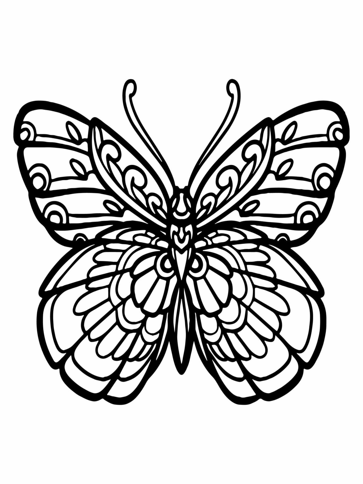 finicky butterfly Coloring Page - Free Printable Coloring Pages for Kids