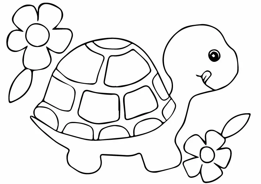 Turtle With Flowers