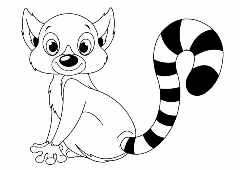 Cute Baby Lemur