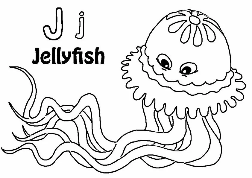 J For JellyFish