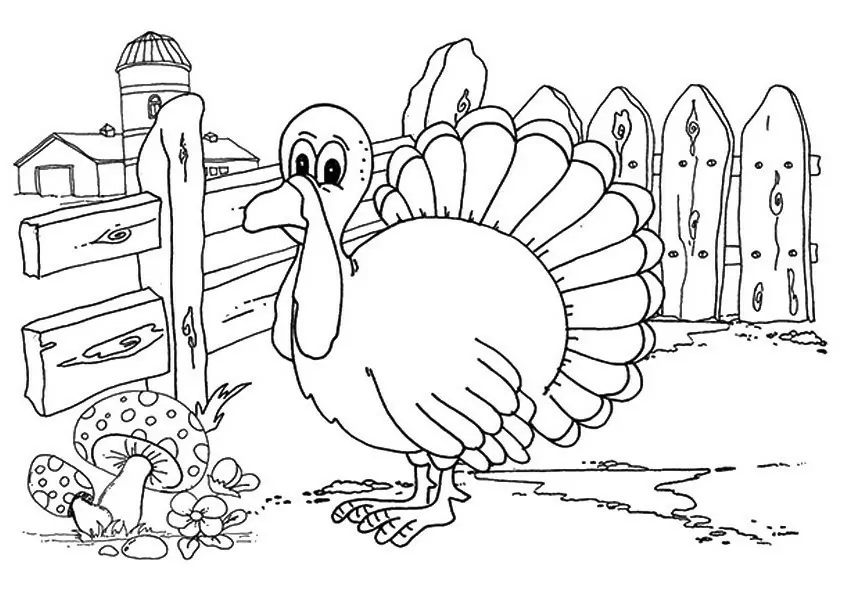 Turkey At The Farm