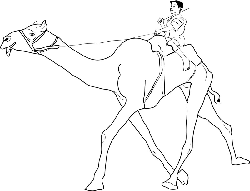 Mann reitet Kamel