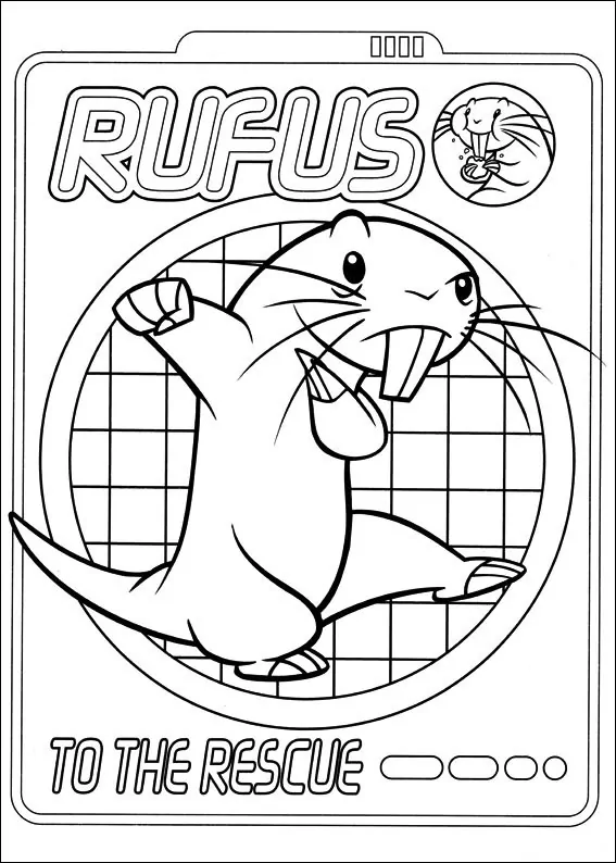 Rufus - die Rettung