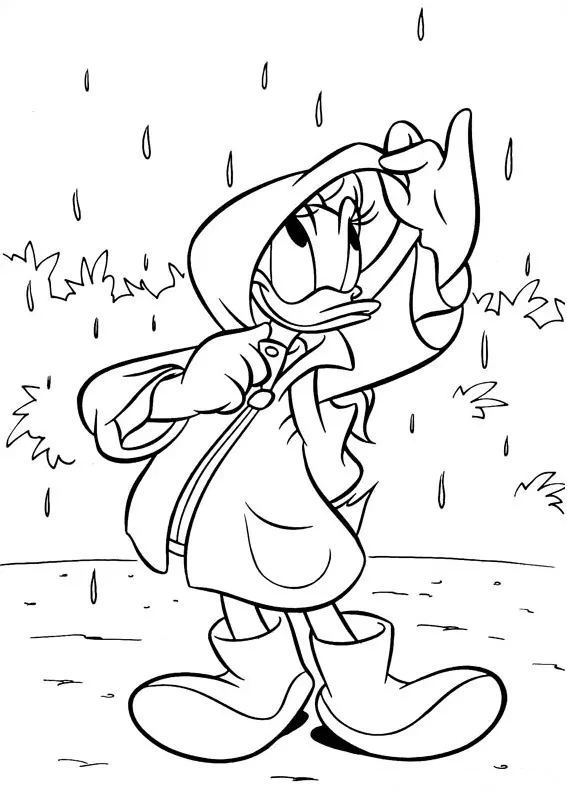 Gänseblümchen im Regen