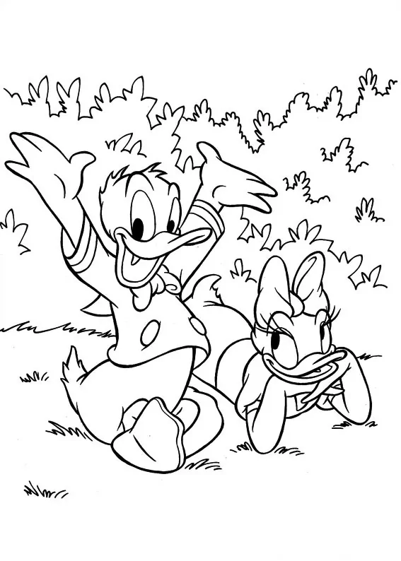 Donald Und Gänseblümchen