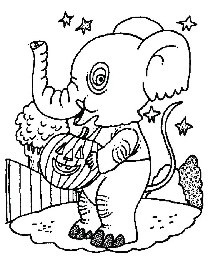 Elefant mit Kürbis
