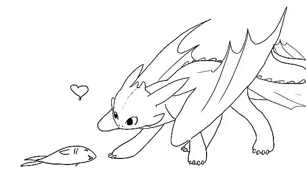 Toothless And Fish