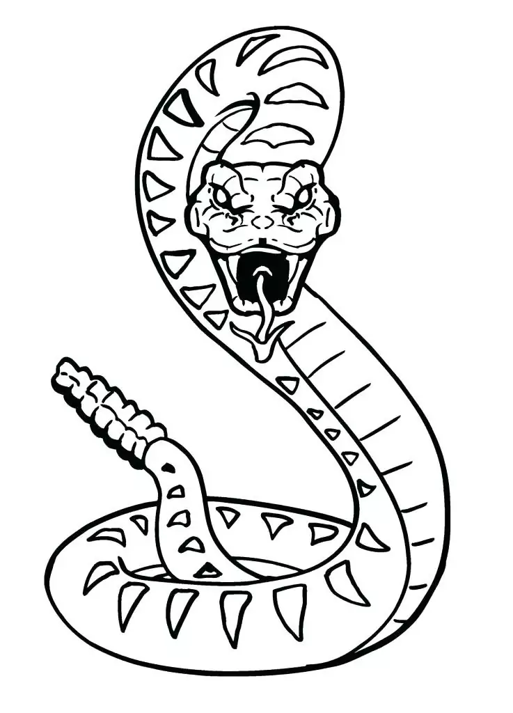 Scary Rattlesnake