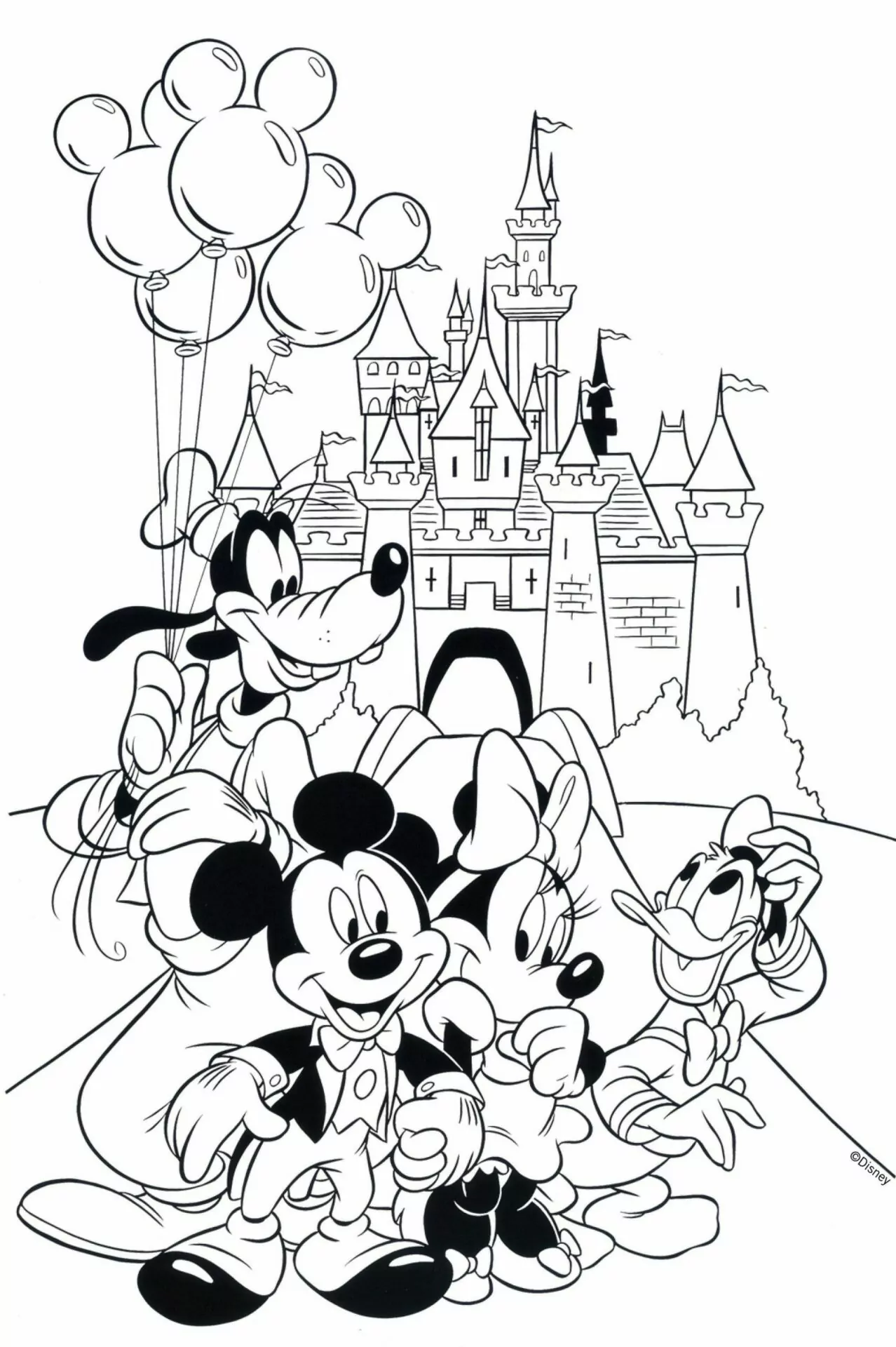Mickey Mouse And Fairytail Castle