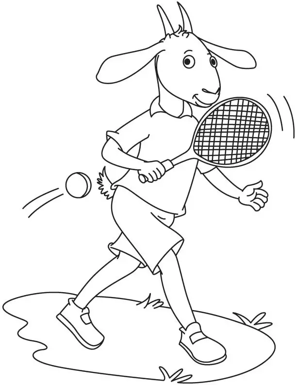 Ziege beim Tennisspielen