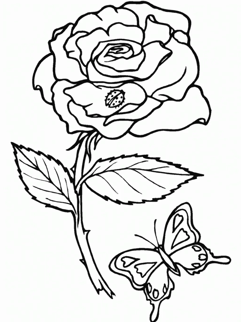Rose und Schmetterling