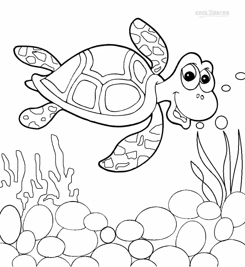 Cute Turtle Swimming