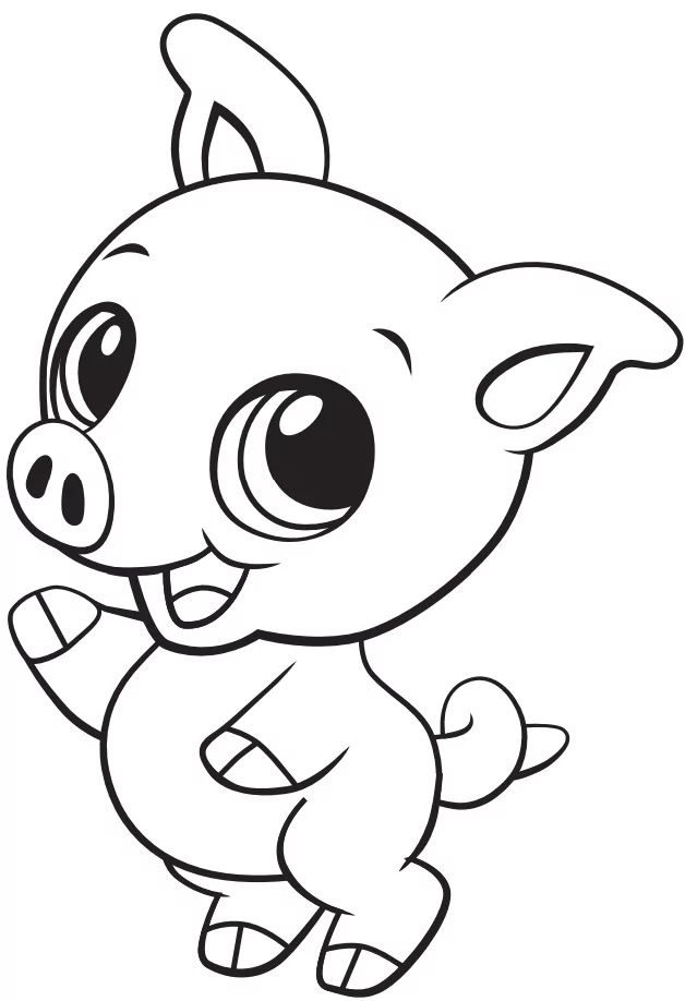 Cute Baby Pig