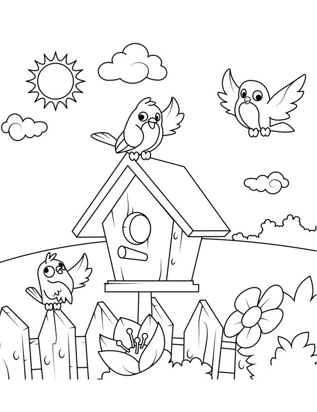 Birds And Their House