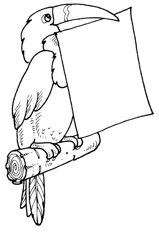 Toucan Holding Letter