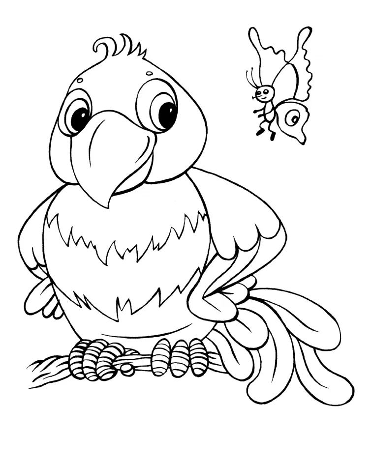 Cartoon Parrot And Butterfly