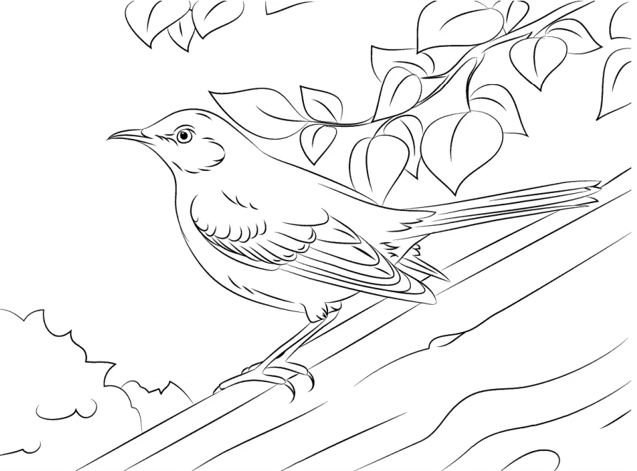 Mockingbird On Tree Trunk