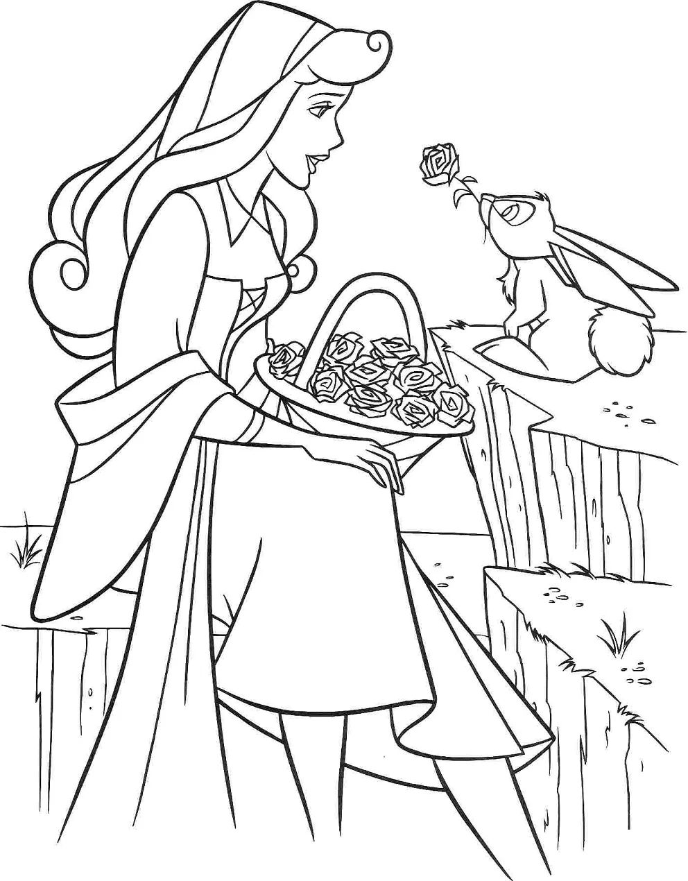Princess Aurora And Rabbit