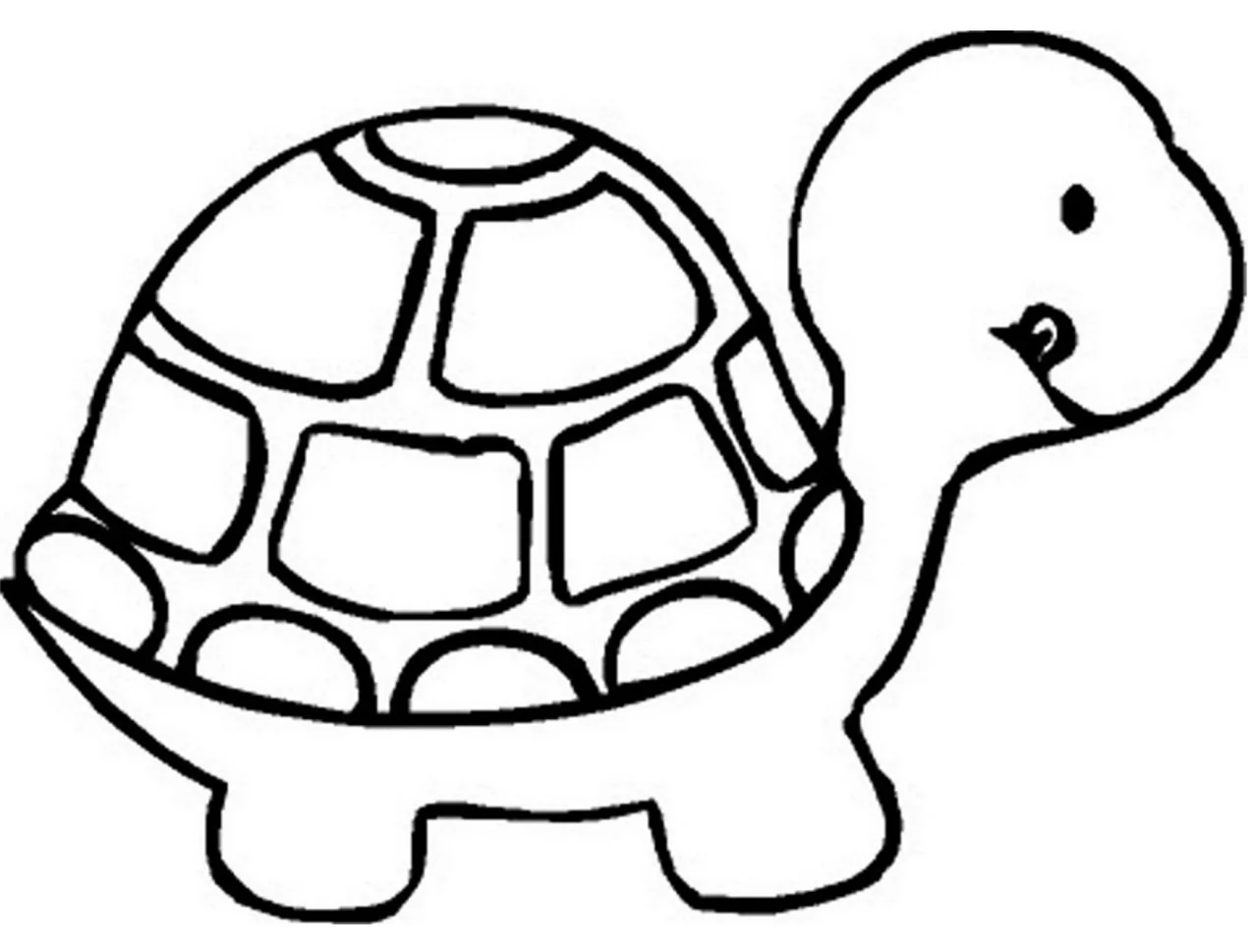 Schildkröte für Kinder