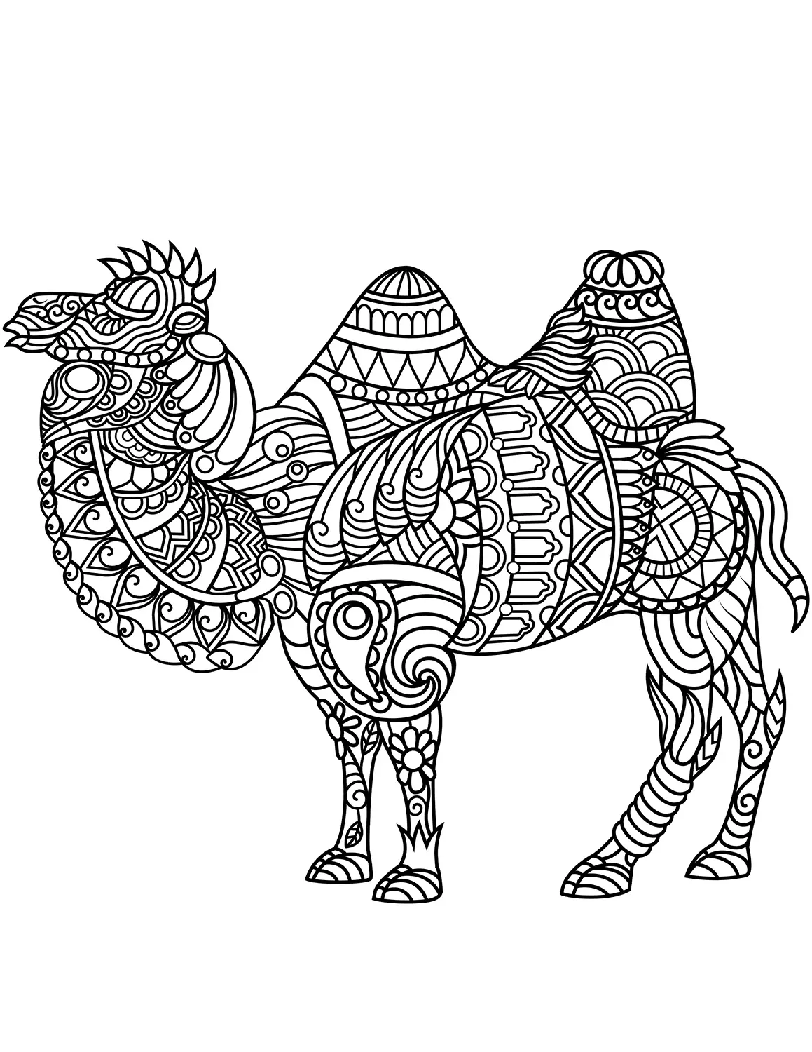 Bactrian Camel Zentangle
