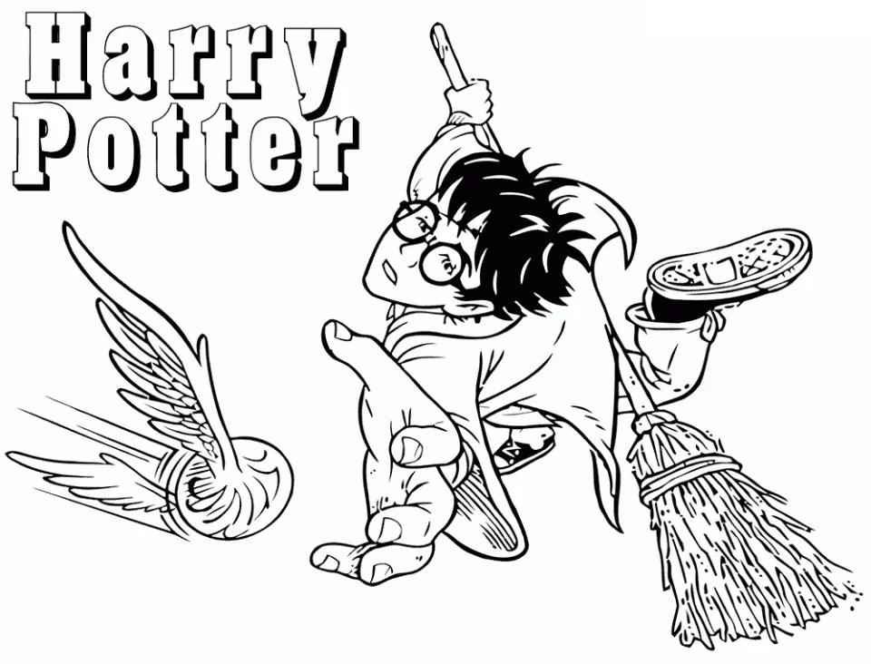 Harry Playing Quidditch