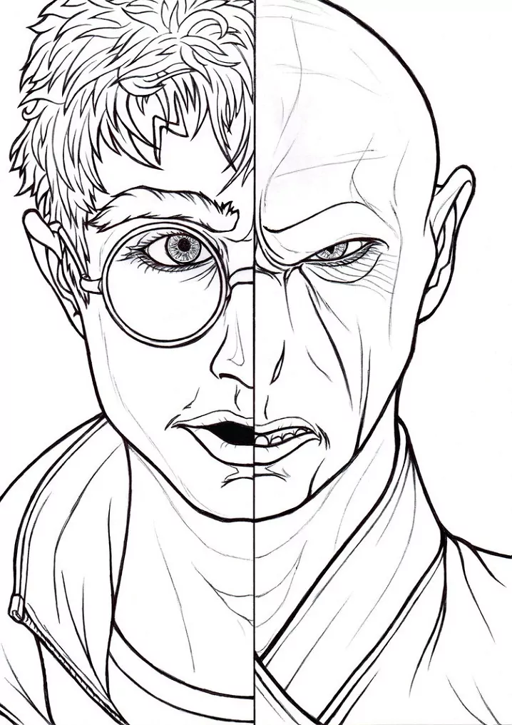 Harry Potter and Voldemort Face