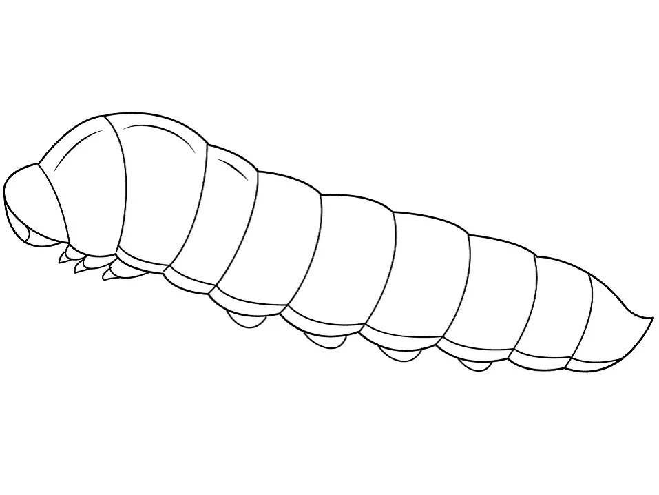 Normal Caterpillar