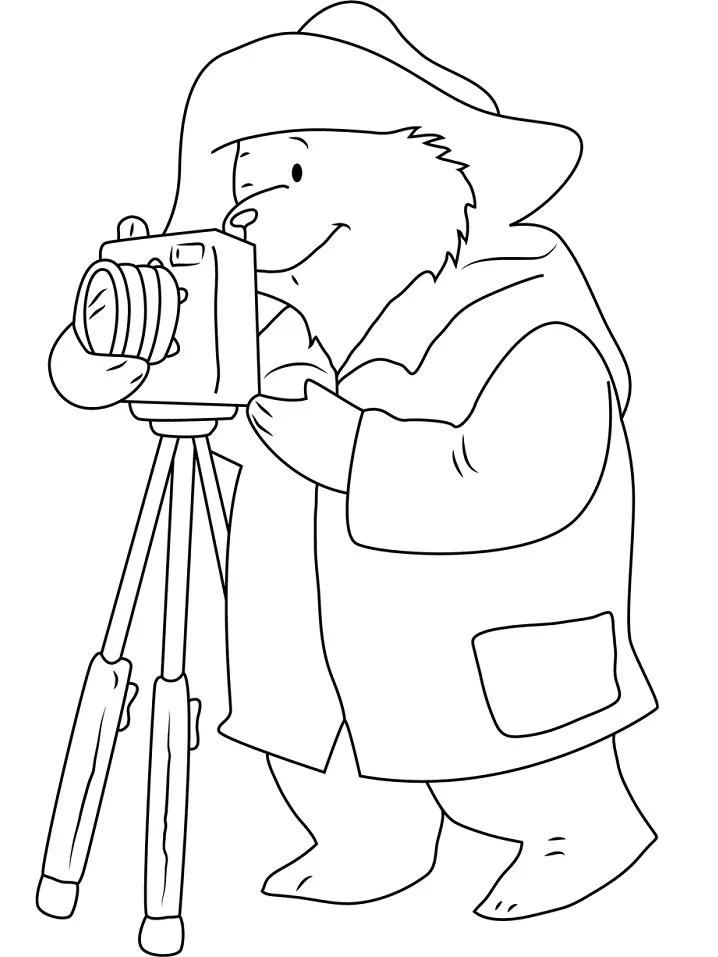 Paddington Bear Taking Picture