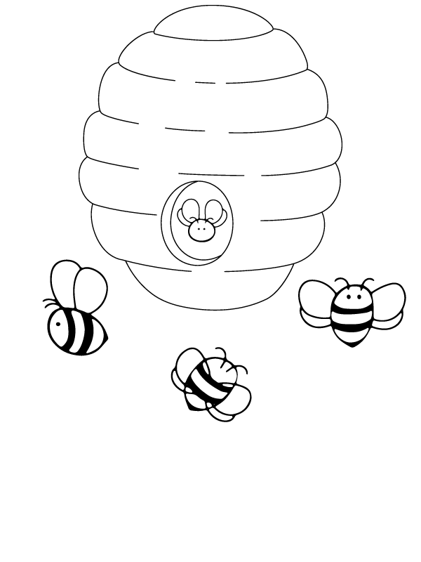 Beehive and Adorable Bees
