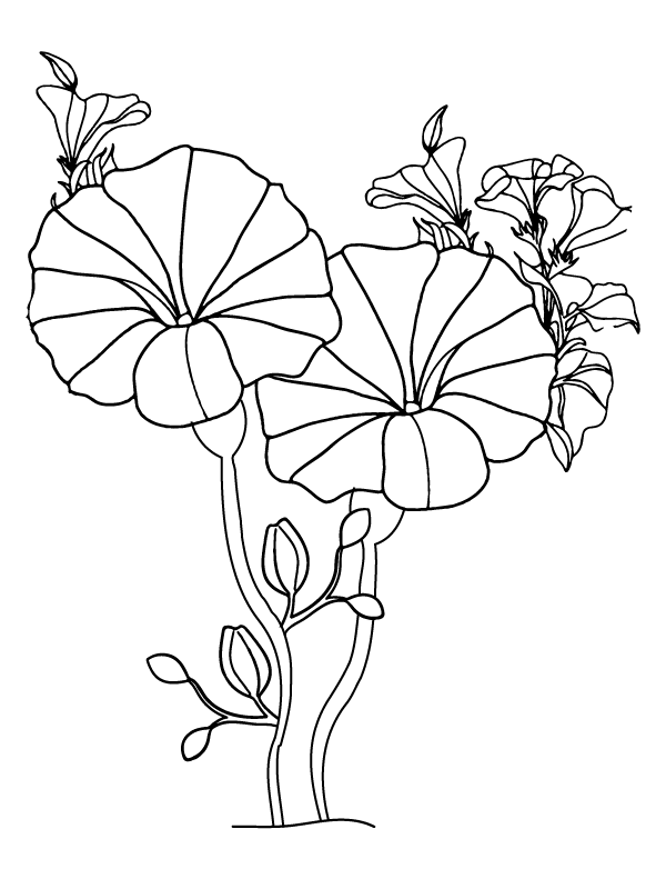 Morning Groly coloring page-15