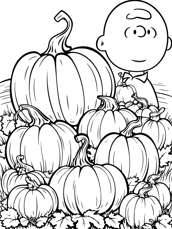 Charlie Brown Pumpkin Patch