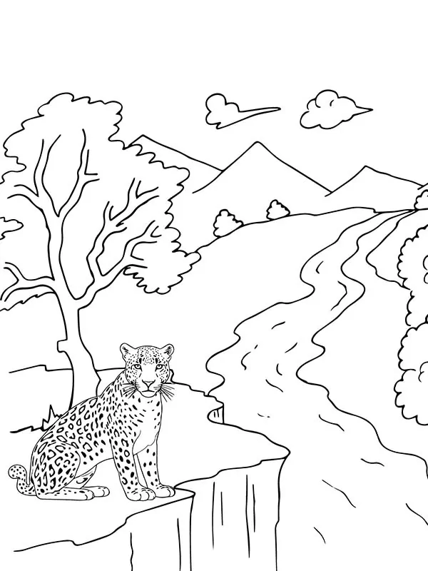 Gepard in seinem natürlichen Lebensraum