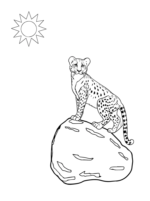 Gepard auf dem Stein