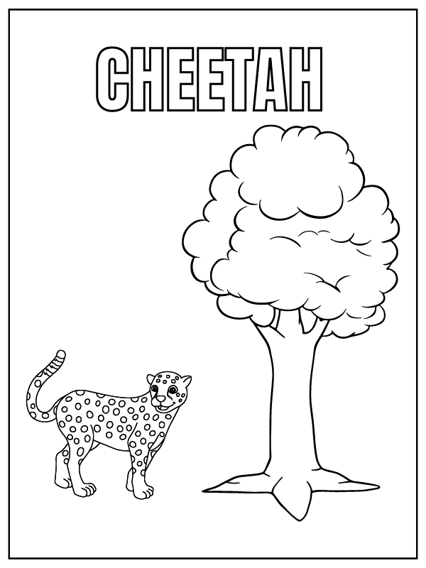Cheetah Safari Animal and Tree