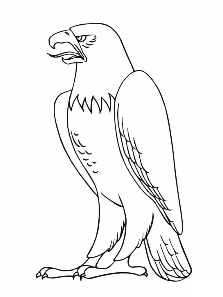 Coloring Page of Eagle
