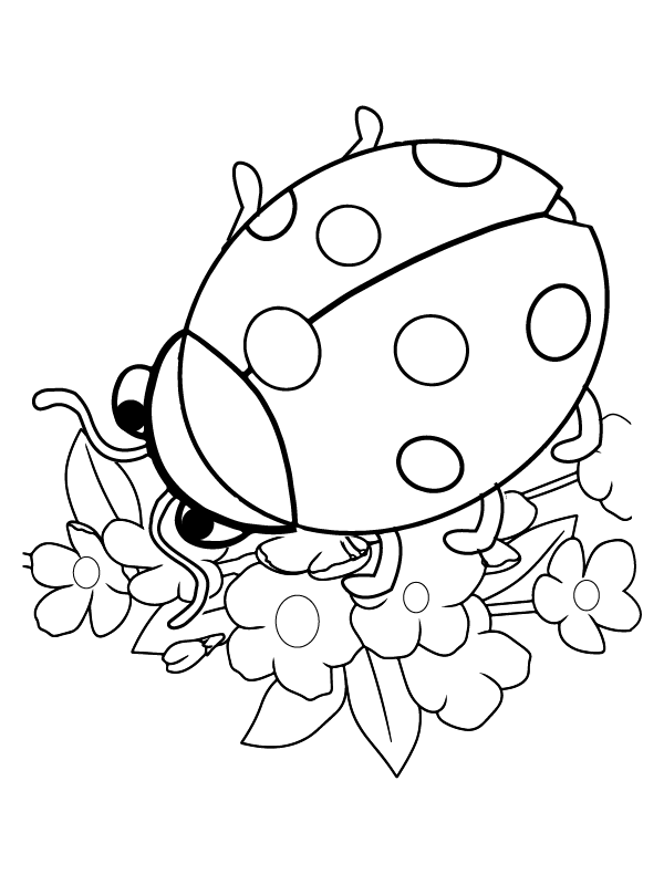 Curious Ladybug Coloring Page