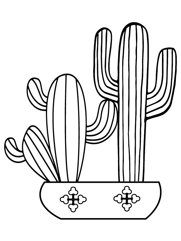 Delightful Cactus