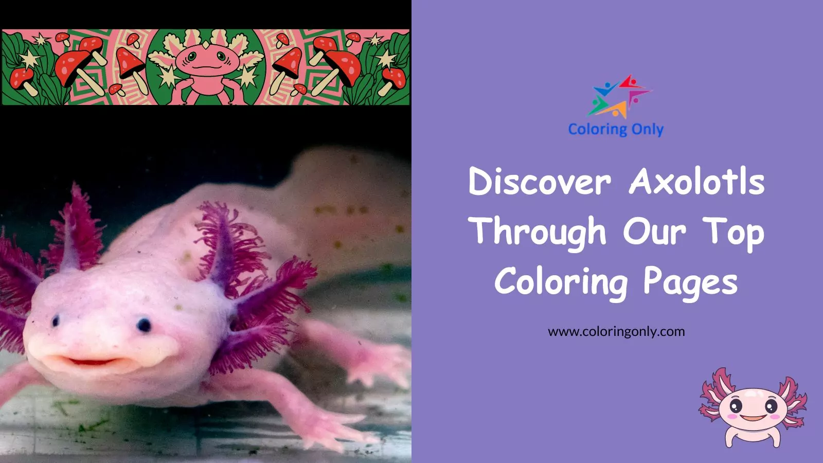 Discover Axolotls Through Our Top Coloring Pages