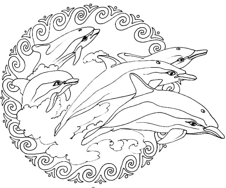 Dolphins Animal Mandala