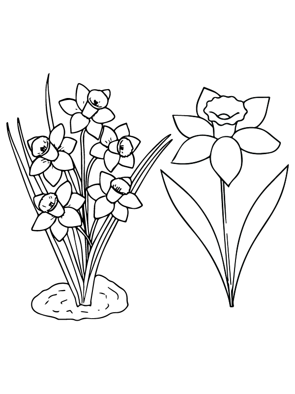 Easy drawing Christmas Flowers