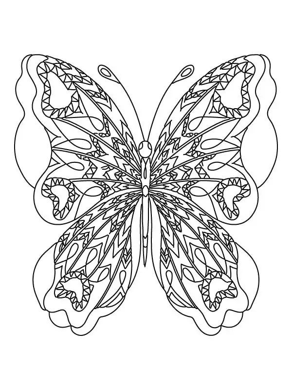 Elegant Butterfly 2