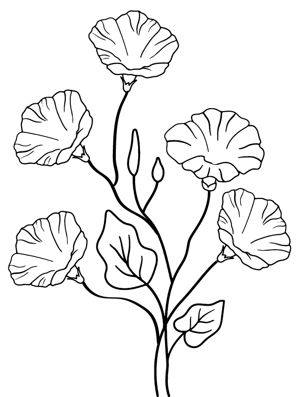 Morning Groly coloring page-05