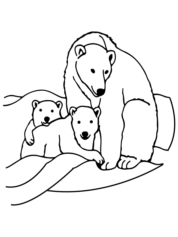 Family Bear Arctic Animals