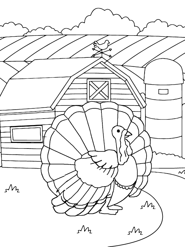 Farm Turkey Printable